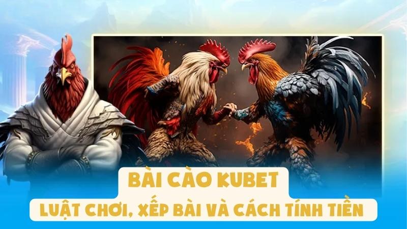 Đá Gà Kubet: Cách Chơi, Tích Vé Và Nhận Thưởng Cho Newbie